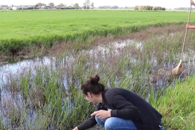 Vroege Vogels de polder in met Leidse onderzoekers