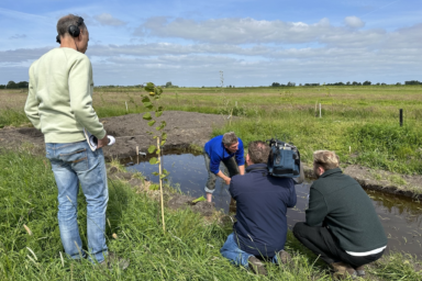 Met Vroege Vogels in de rijstvelden van Oud Ade