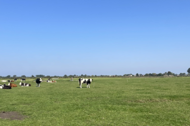 Wat houdt ons tegen om nat te boeren?