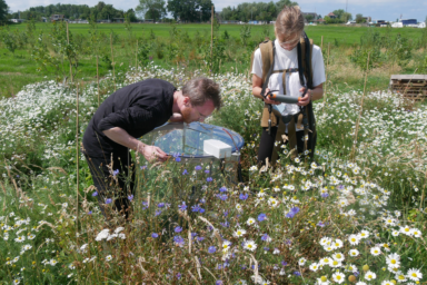 Polderlab Research