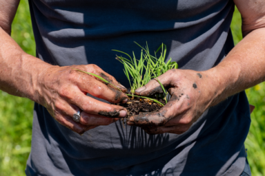 Koplopers op Klompen