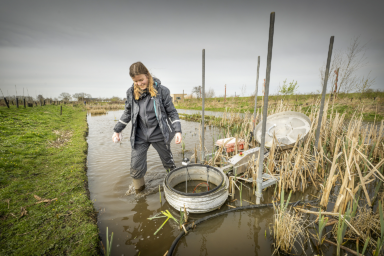 Maanlanders in de spotlight